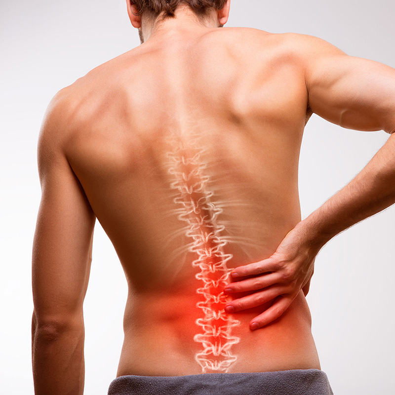 Training gegen Rückenschmerz